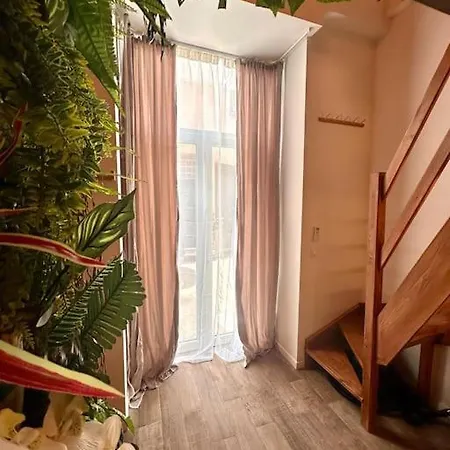 Jungle Avec Jaccuzi Au Coeur De