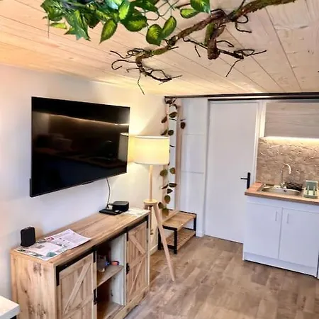 Jungle Avec Jaccuzi Au Coeur De شقة *