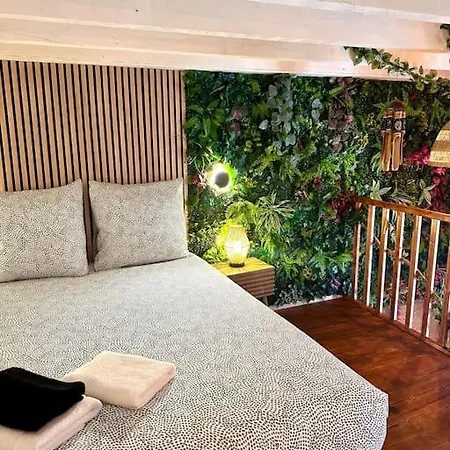 Jungle Avec Jaccuzi Au Coeur De شقة نيس