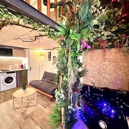 Jungle Avec Jaccuzi Au Coeur De شقة نيس