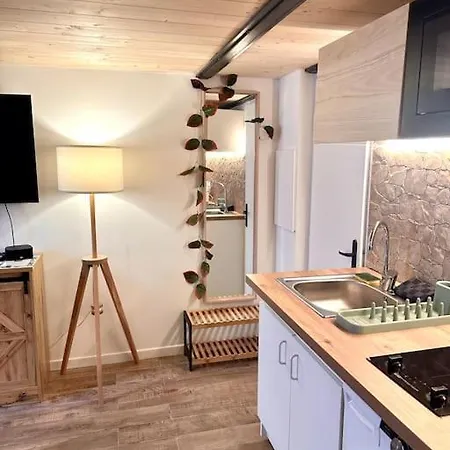 Jungle Avec Jaccuzi Au Coeur De شقة نيس