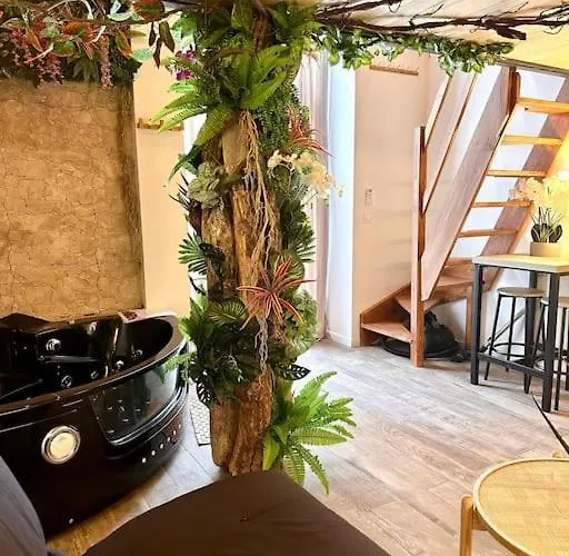 Jungle Avec Jaccuzi Au Coeur De ניס