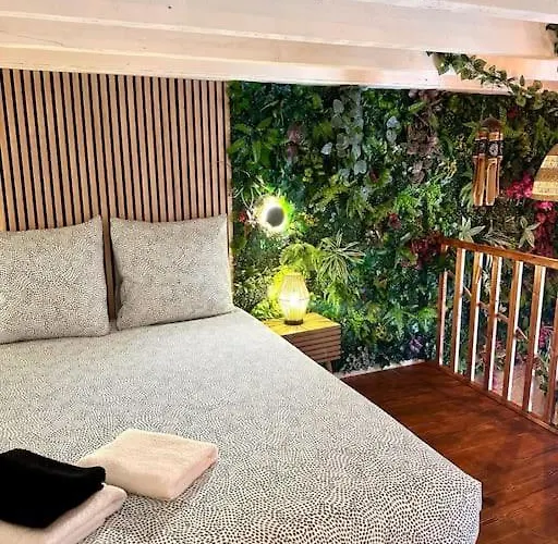Jungle Avec Jaccuzi Au Coeur De דירה ניס