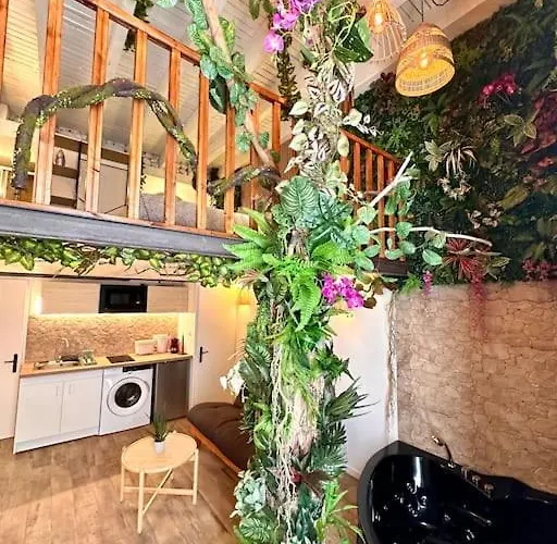 דירה Jungle Avec Jaccuzi Au Coeur De *