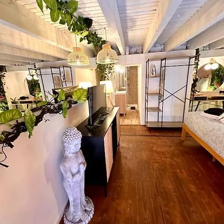 Apartamento Jungle Avec Jaccuzi Au Coeur De Nice Nice