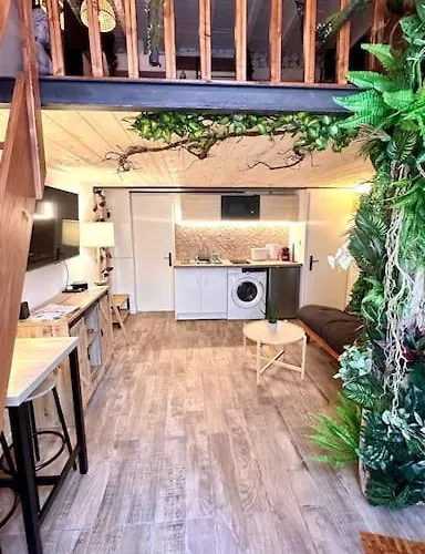 Jungle Avec Jaccuzi Au Coeur De شقة
