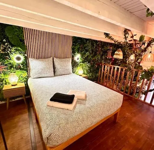Jungle Avec Jaccuzi Au Coeur De Apartment
