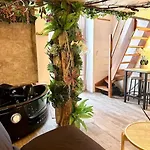 Jungle Avec Jaccuzi Au Coeur De Nizza