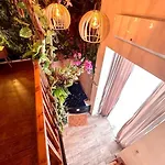 Appartamento Jungle Avec Jaccuzi Au Coeur De