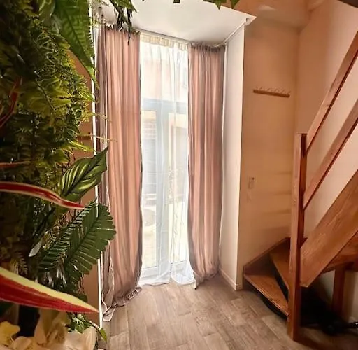 Jungle Avec Jaccuzi Au Coeur De