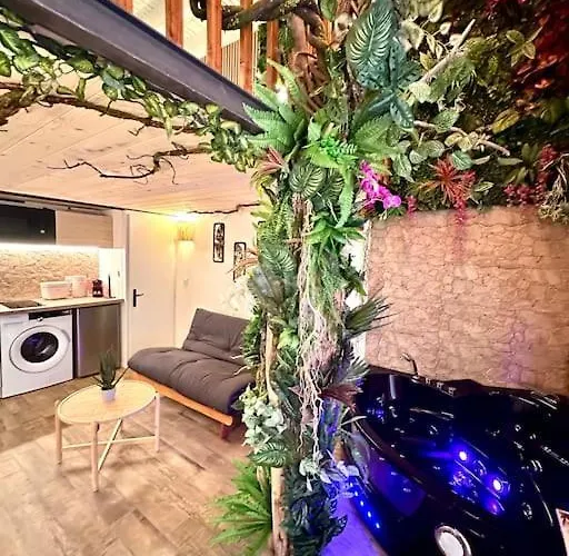Jungle Avec Jaccuzi Au Coeur De Апартаменты Ницца