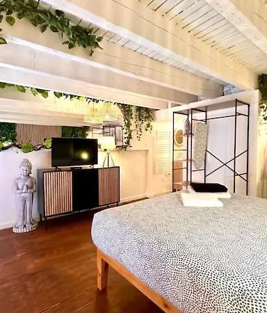 Jungle Avec Jaccuzi Au Coeur De
